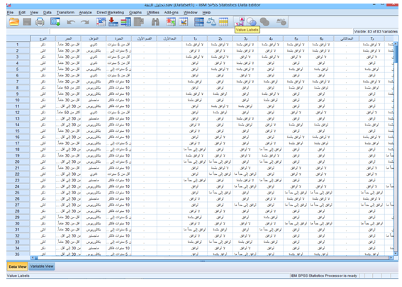 شرح-برنامج-SPSS